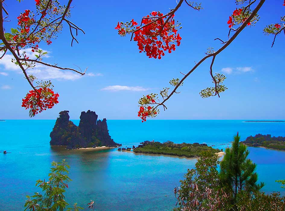 poule hienghene-nouvelle-caledonie